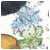 Keycsytreeka's Avatar