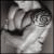 EtectPele's Avatar