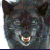 FeeflyspeensE's Avatar