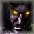 piploddereity's Avatar