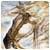 frinaTighag's Avatar