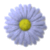 ZootChedo's Avatar