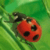 HoargostoodaY's Avatar