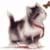 HelpWithJobs's Avatar