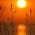 annxiaou9fanb's Avatar