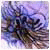 reawlexpeva's Avatar
