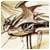 IeeXus's Avatar