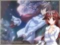 da_capo_tagme_23040.jpg
