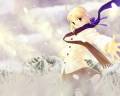 fate-stay_night_saber_scarf_soft_beauty_type-moon_1123.jpg