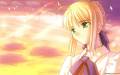 fate-stay_night_saber_sunset_type-moon_24700.jpg