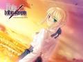 fate-stay_night_saber_type-moon_10793.jpg