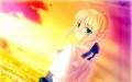 fate-stay_night_saber_type-moon_5023.jpg