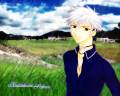 fruits_basket_12088.jpg