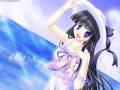 Miss_Surfersparadise_095.jpg