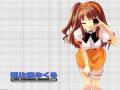 akanbe_asahina_mikuru_ito_noizi_suzumiya_haruhi_no_yuutsu_waitress_889.jpg