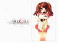 asahina_mikuru_ito_noizi_maid_suzumiya_haruhi_no_yuutsu_waitress_white_14249.jpg